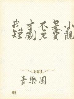 我才不是小可怜短剧免费观看全集