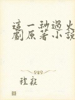 这一秒过火电视剧原著小说