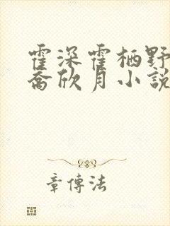 霍深霍栖野夏稚乔欣月小说