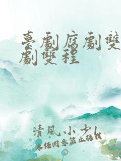 台剧腐剧双男主剧双程