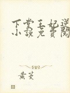 下堂王妃逆袭记小说免费阅读全文