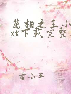 万相之王小说txt下载完整版