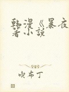 韩漫《暴夜》原著小说