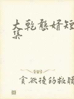 大乾憨婿短剧全集