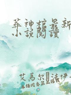 葬神棺最新章节小说阅读