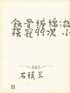 蚀骨缠绵:总裁强宠99次 小说