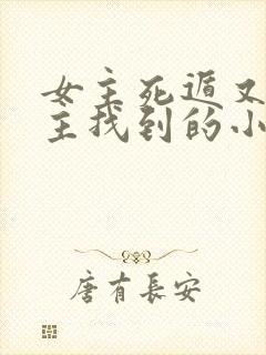 女主死遁又被男主找到的小说