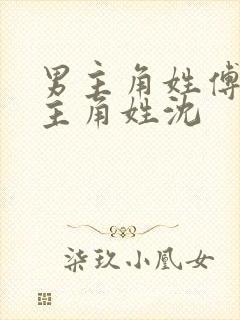 男主角姓傅,女主角姓沈