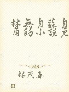 林无月苏月灵主角的小说免费阅读