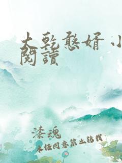 大乾憨婿 小说阅读