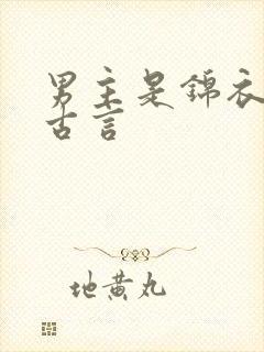 男主是锦衣卫的古言