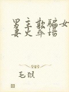 男主欺骗女主追妻火葬场