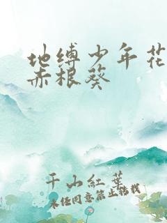 地缚少年花子君赤根葵