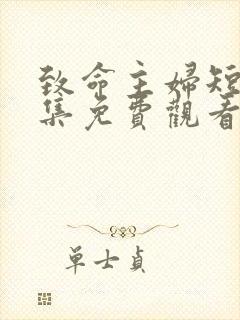 致命主妇短剧全集免费观看