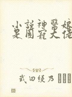 小说神医娘亲她是团宠大佬txt