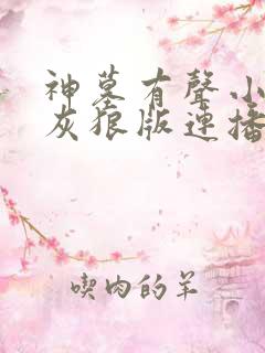 神墓有声小说大灰狼版连播