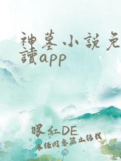神墓小说免费阅读app