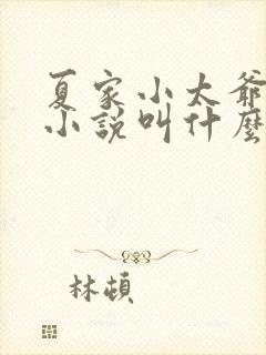 夏家小太爷原著小说叫什么名字