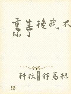 重生后我不再爱你了