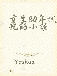 重生80年代李龙的小说