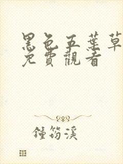黑色五叶草动漫免费观看