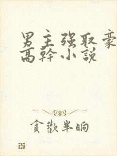 男主强取豪夺的高干小说