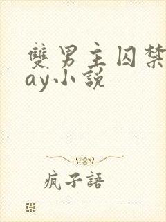 双男主囚禁play小说