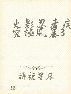 火影忍者疾风传究极风暴3