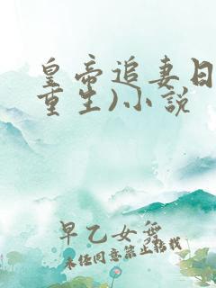 皇帝追妻日常(重生)小说