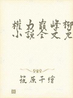 权力巅峰柳擎宇小说全文免费阅读