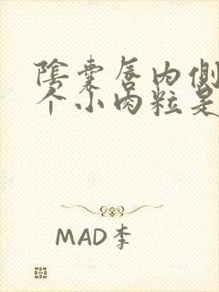 阴囊唇内侧长了个小肉粒是什么原因