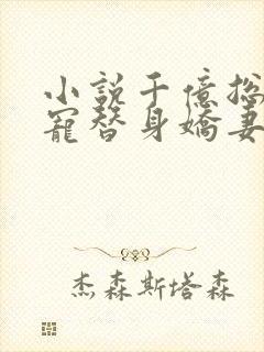 小说千亿总裁独宠替身娇妻