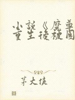 小说《魔尊大佬重生后被团宠了》