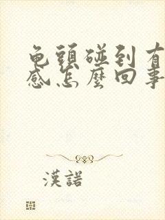 龟头碰到有刺痛感怎么回事