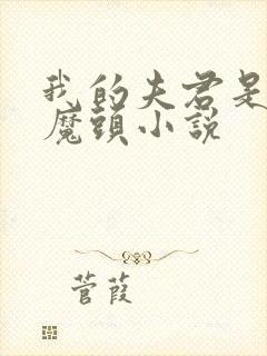 我的夫君是灭世魔头小说