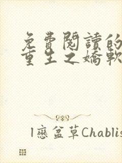 免费阅读的小说重生之娇软美人