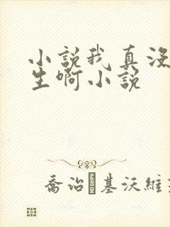 小说我真没想重生啊小说