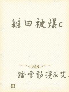 雏田被爆c