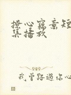 撩心窃意短剧全集播放