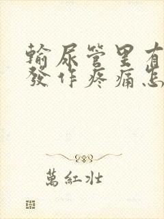 输尿管里有结石发作疼痛怎么办