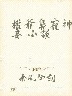 权爷枭宠神秘娇妻 小说