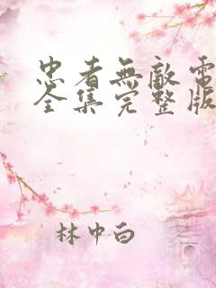 忠者无敌电视剧全集完整版免费