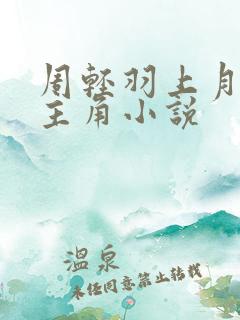 周轻羽上月天尊主角小说