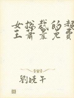 女总裁的超级兵王萧晨免费