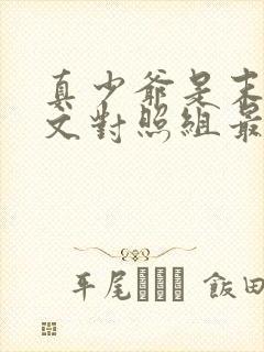 真少爷是末世宠文对照组最新