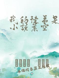 我的徒弟是女帝小说叶空