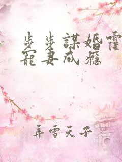 步步谋婚霍先生宠妻成瘾