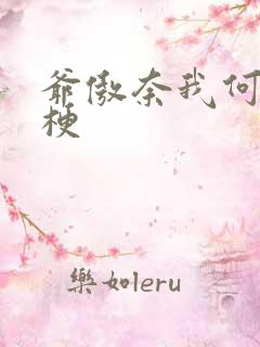 爷傲奈我何什么梗