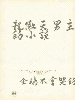 龙傲天男主是受的小说