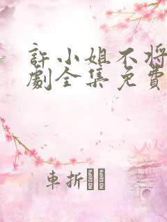 许小姐不将就短剧全集免费观看